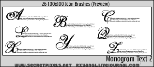 26:100x100 Monogram 2 Brushes