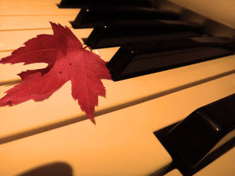 Autumn Melody