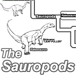 The Tree of Sauropods
