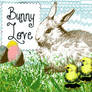 Bunny Love Brushes