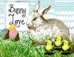 Bunny Love Brushes
