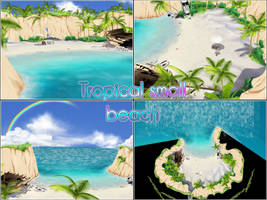 Small tropical beach