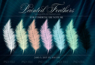 Feathers_lauraypablo