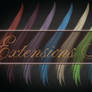 Extensions Set 1 - FOR COMERCIAL USE