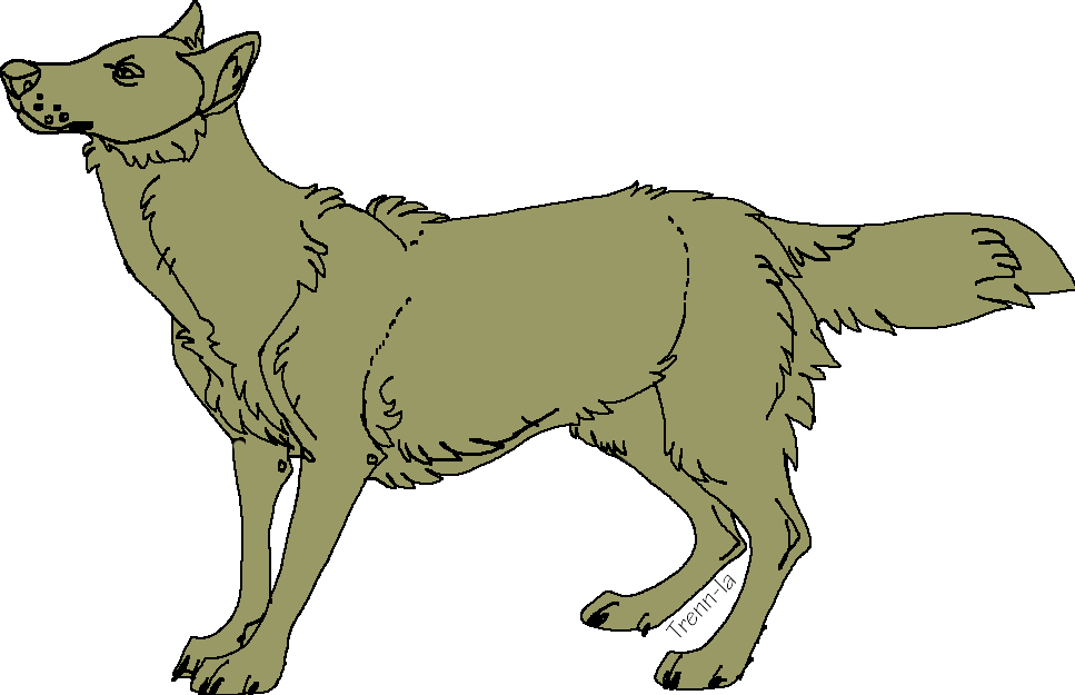 Free PSD Wolf Lineart