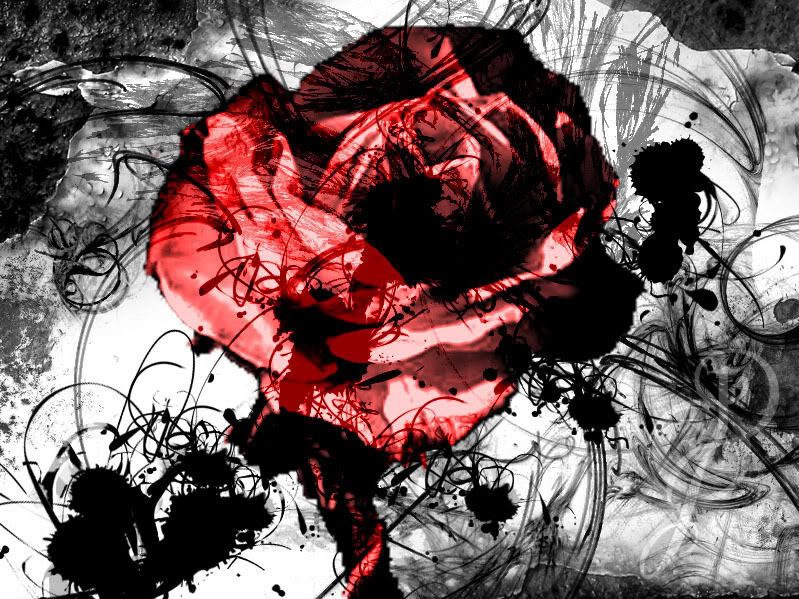 Кровавые цветы 233. Кроваво черный.