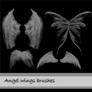 angel wings