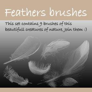 feathers