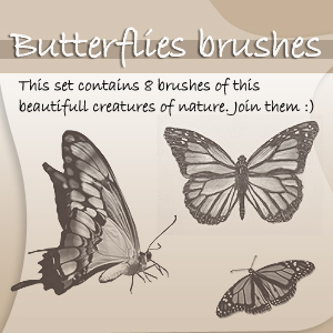 Butterflies
