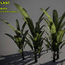 Free Palm Plant Pack