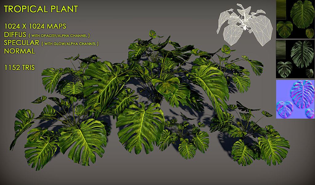 Free Tropical plant Pack