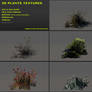 Free 3D plants textures 02