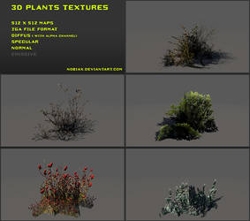 Free 3D plants textures 02