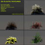 Free 3D plants textures 03