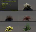 Free 3D plants textures 03