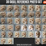 39 Skull Reference Photo Set