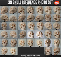 39 Skull Reference Photo Set