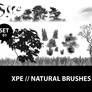 Natural Brushes // xpe NB 01