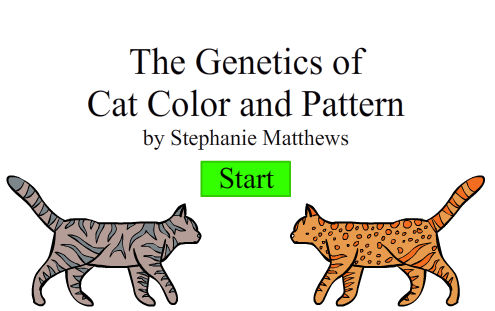 Create A Cat By Mistyblue2010 On Deviantart