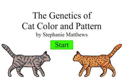 Create-A-Cat