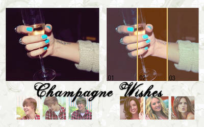 Champagne Wishes