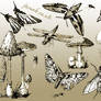 Insects And Mushroom Vectors