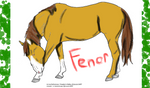 Fenor Sheet by Frostyzzz