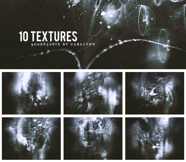 10 textures 900x650 : 39