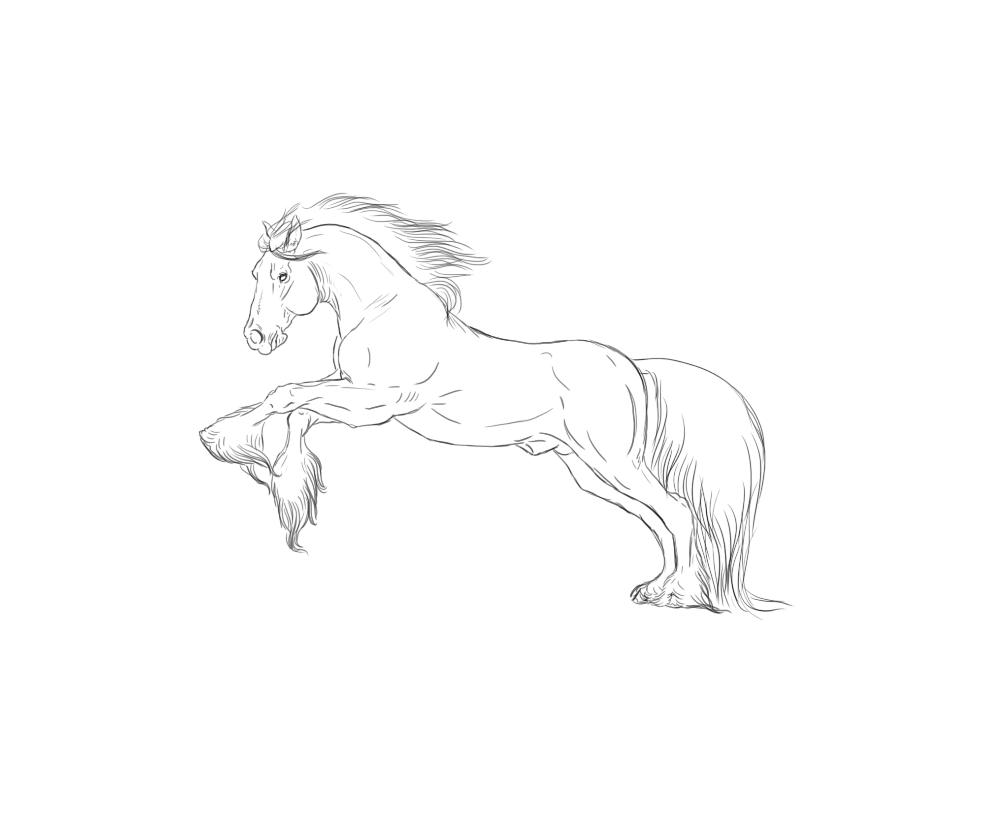 FREE feathered horse line art