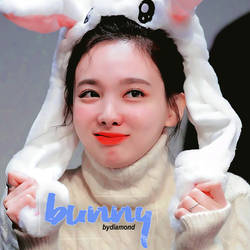 bunny