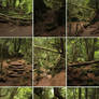 Puzzlewood 6