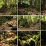 Puzzlewood 7