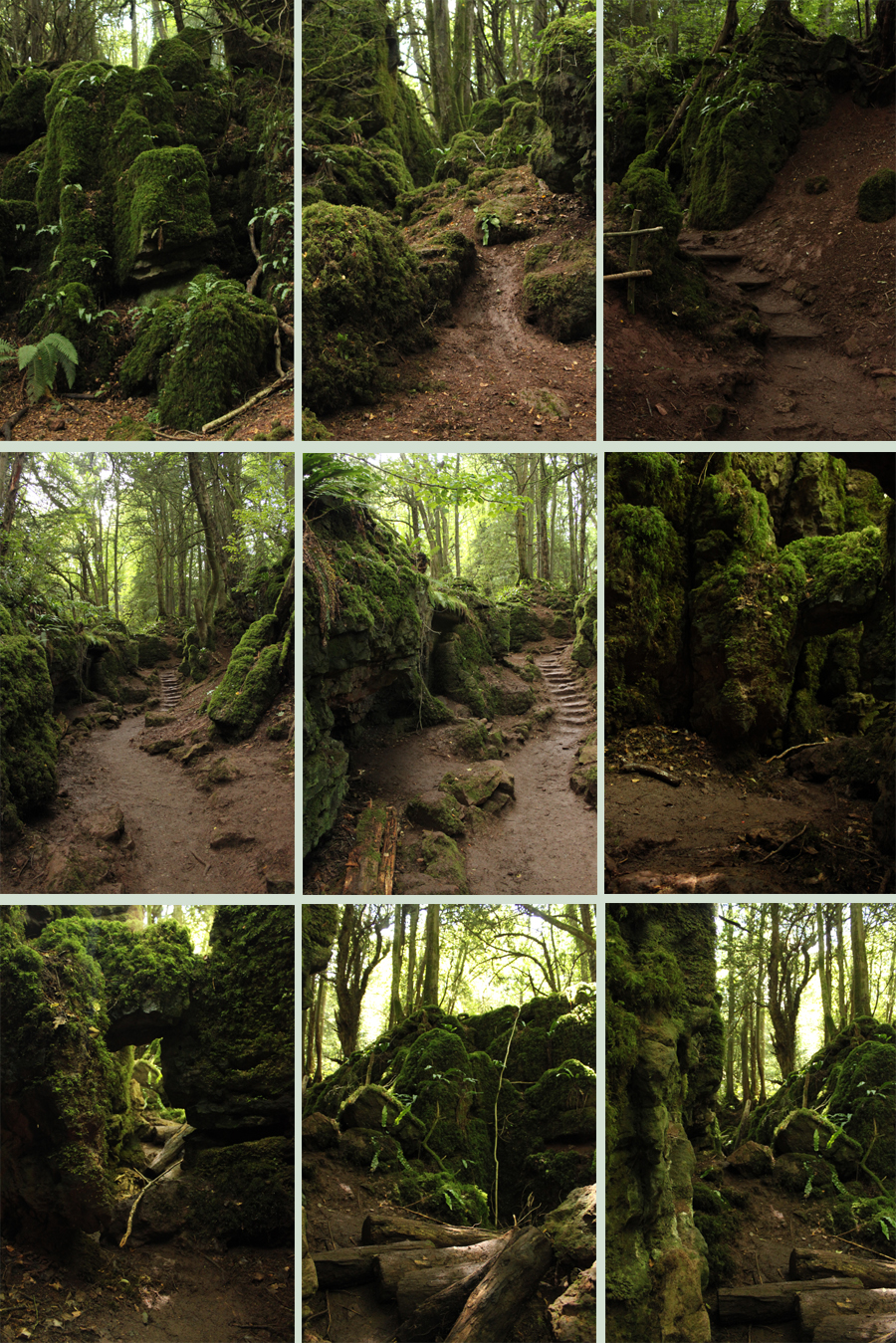 Puzzlewood 11