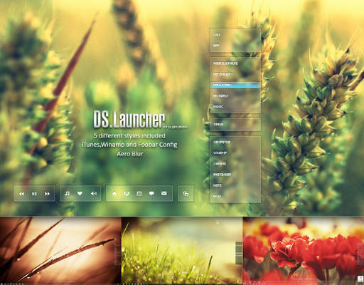 DS.Launcher