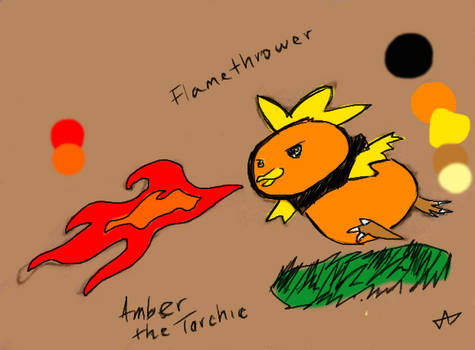 PMDU- Team Member: Amber the Torchic- Flamethrower