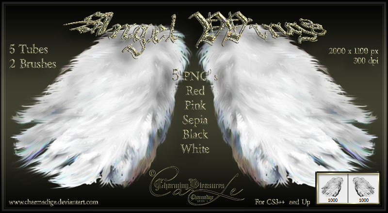 AngelWings-Set