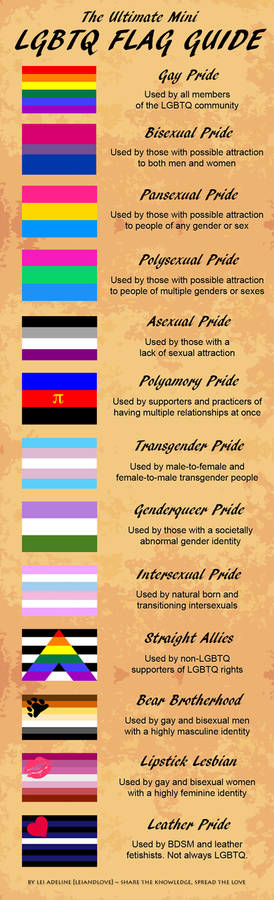 Ultimate LGBTQ Flag Guide