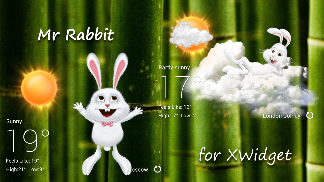 Mr Rabbit for xwidget