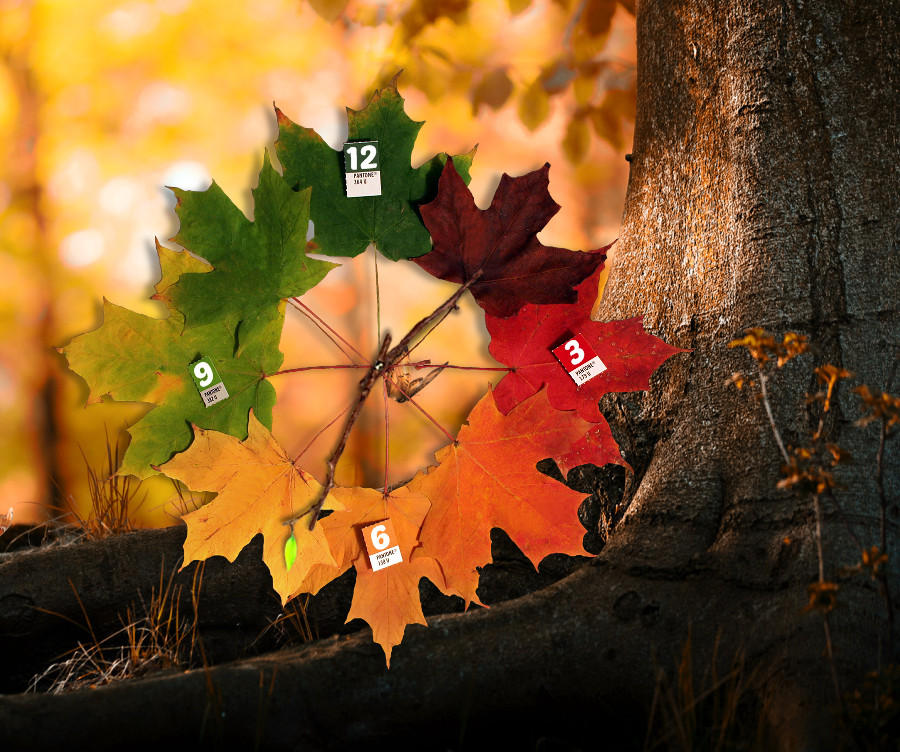 Autumn Leaves Clock for xwidget by Jimking on DeviantArt