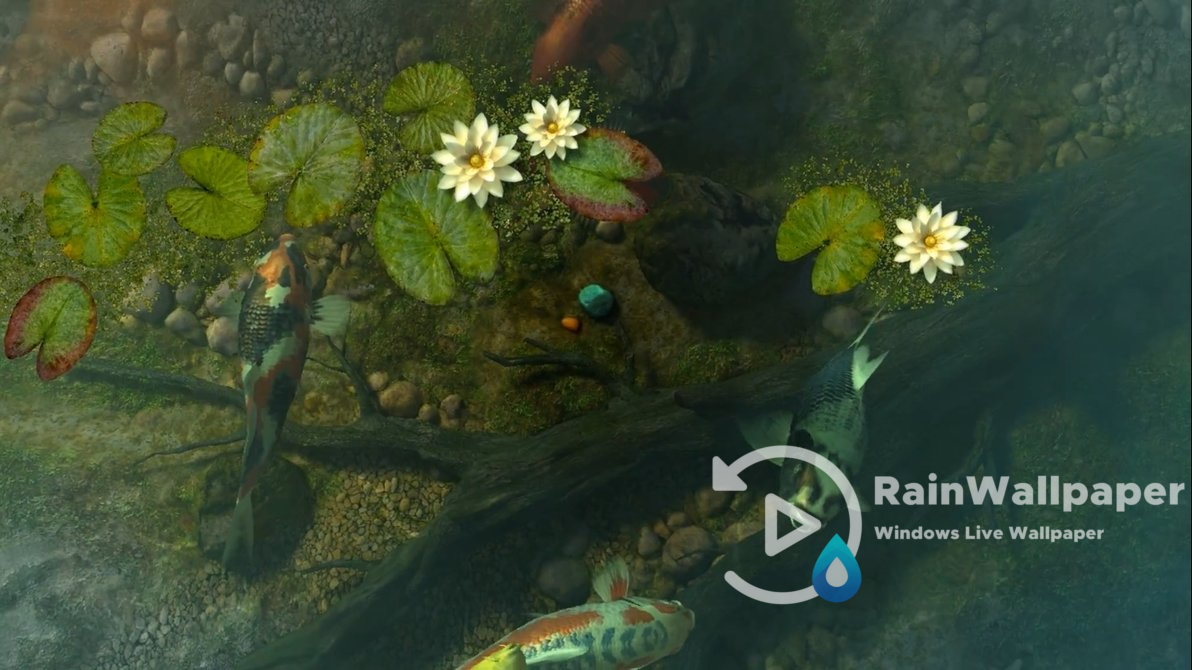 Koi Pond Garden 3D by Jimking on DeviantArt Koi Pond Garden 3D by Jimking on DeviantArt