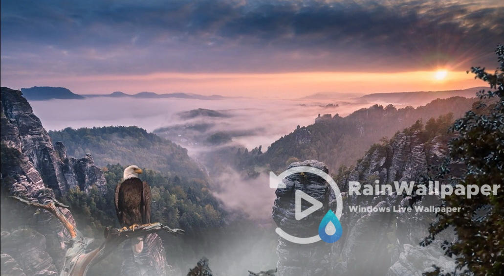 спасибо бог за лунный свет за дивный. аллилуйя текст на русском. аллилуйя спасибо бог за лунный. ты моя аллилуйя песня. спасибо бог за лунный свет текст.