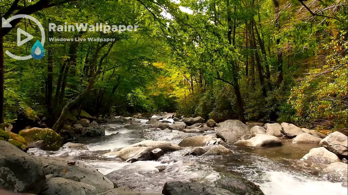 Forest River By Jimking On Deviantart