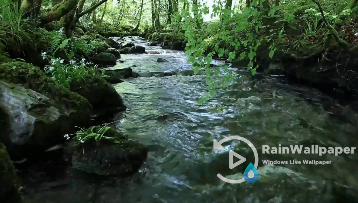 Forest River By Jimking On Deviantart