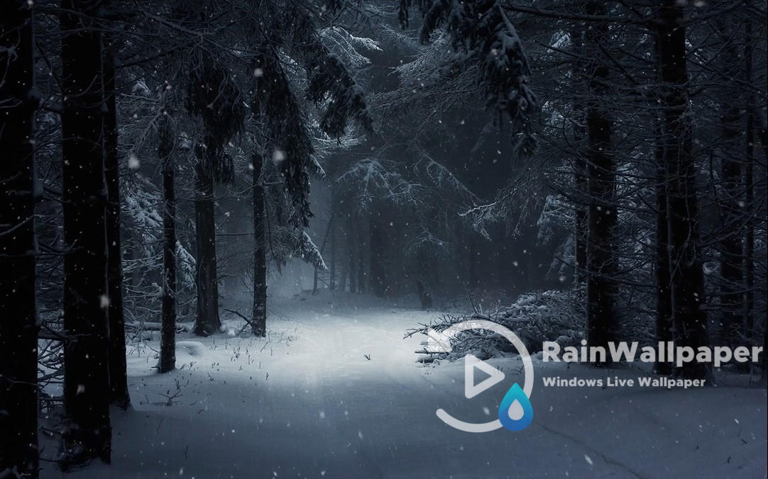 Winter Snow Forest by Jimking on DeviantArt