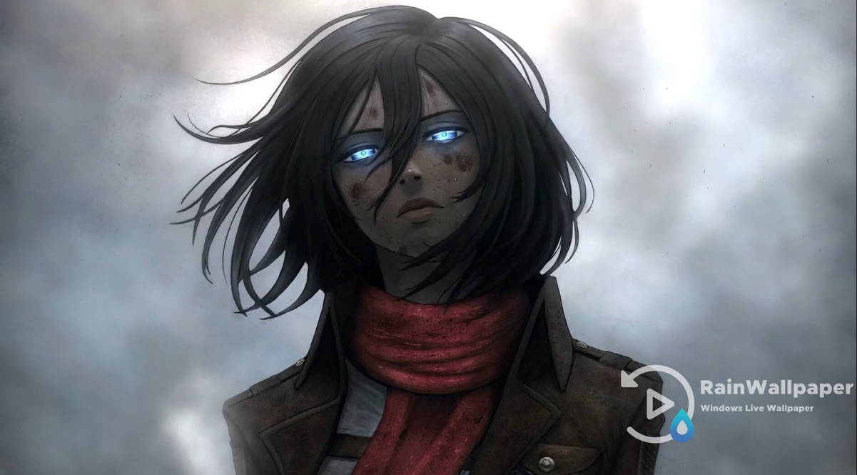 Mikasa Ackerman Attack On Titan By Jimking On Deviantart Three anime characters illustration, attack on titan display wallpaper. mikasa ackerman attack on titan by