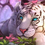 White Tiger Cherry Blossom