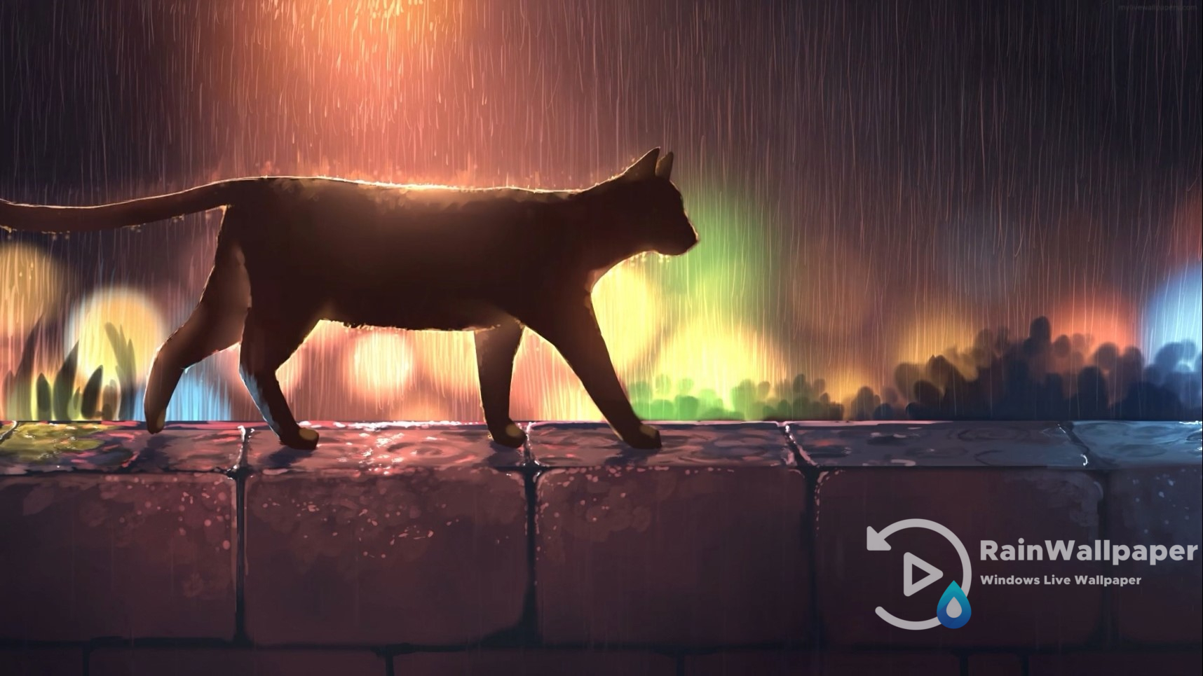 Black Cat Rain by Jimking on DeviantArt
