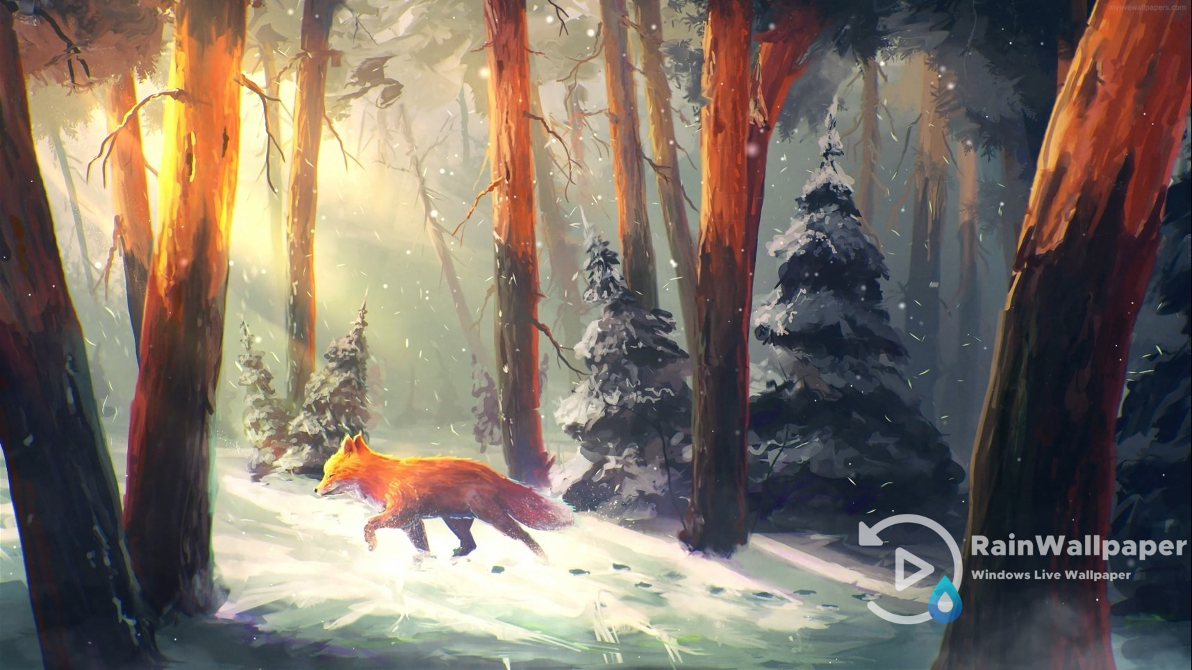 Fox in the Forest by Jimking on DeviantArt