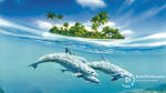 Dolphin Island by Jimking