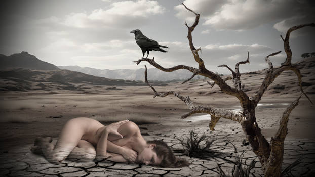 Dead Nature (4K Wallpaper)